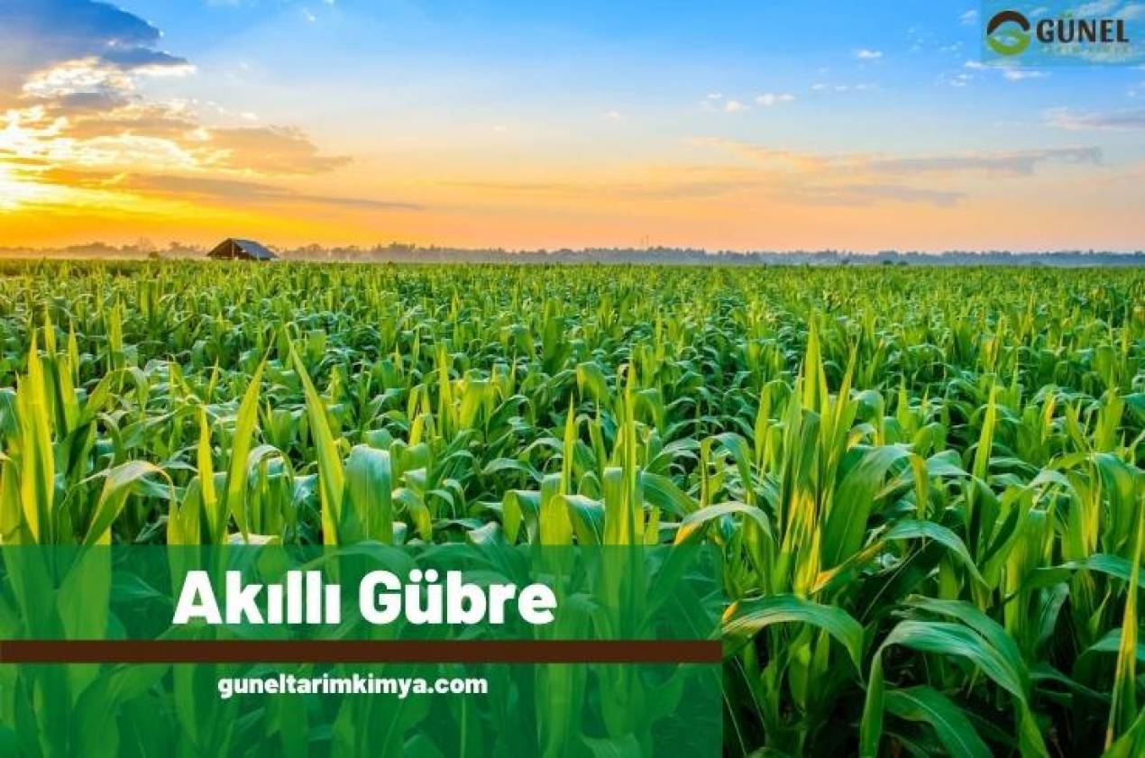 Yavaş Salınımlı Gübre (Akıllı Gübre)