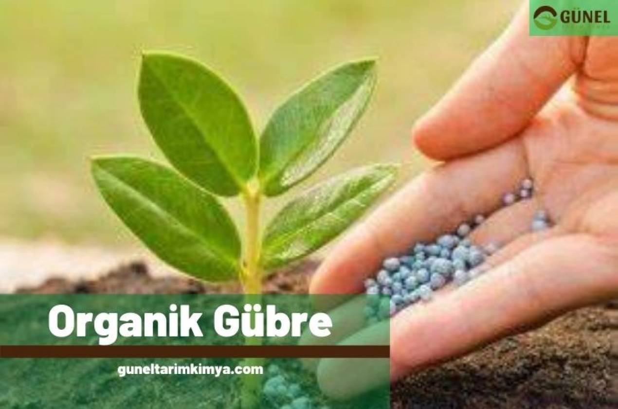 Organik Gübre