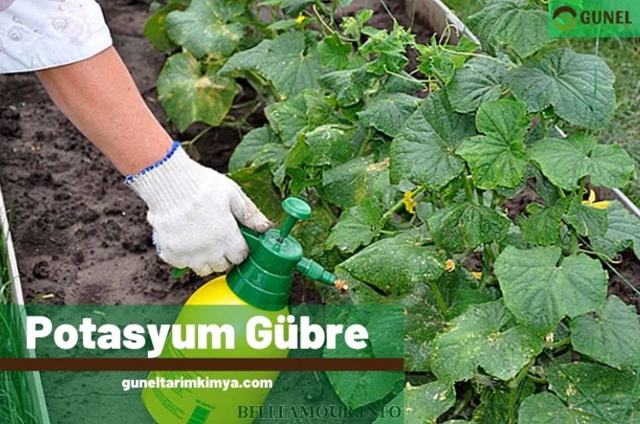 Potasyumlu Gübre