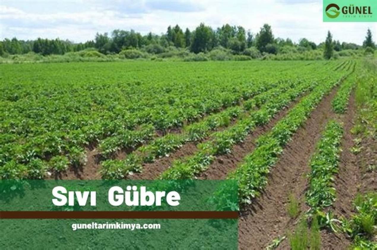 Sıvı Gübre