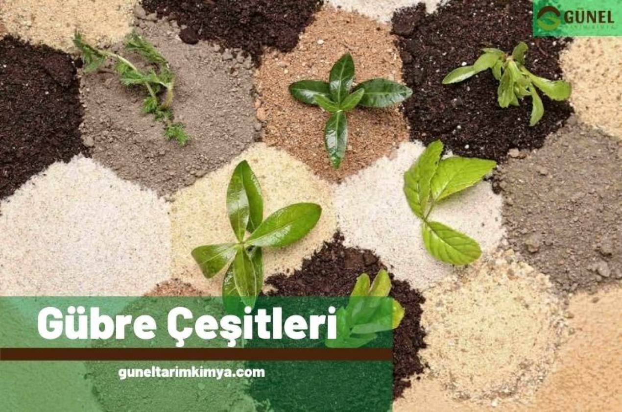 Gübre Çeşitleri