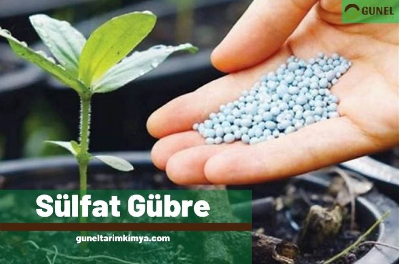 Amonyum Sülfat Gübre