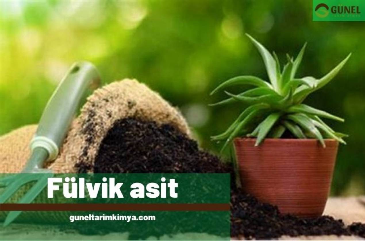 Fülvik asit