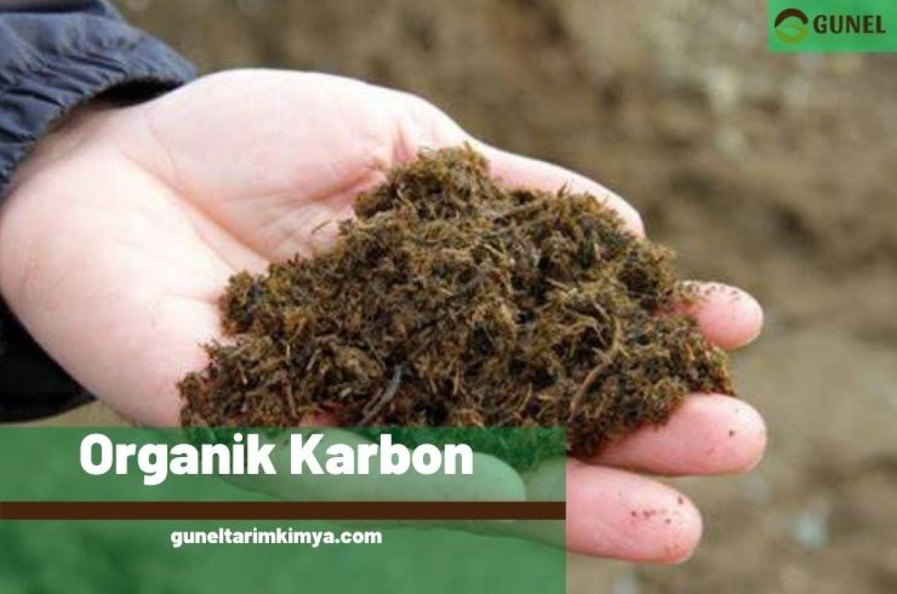 Organik Karbon