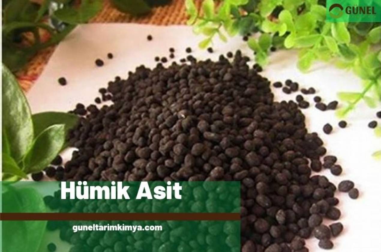 Hümik Asit