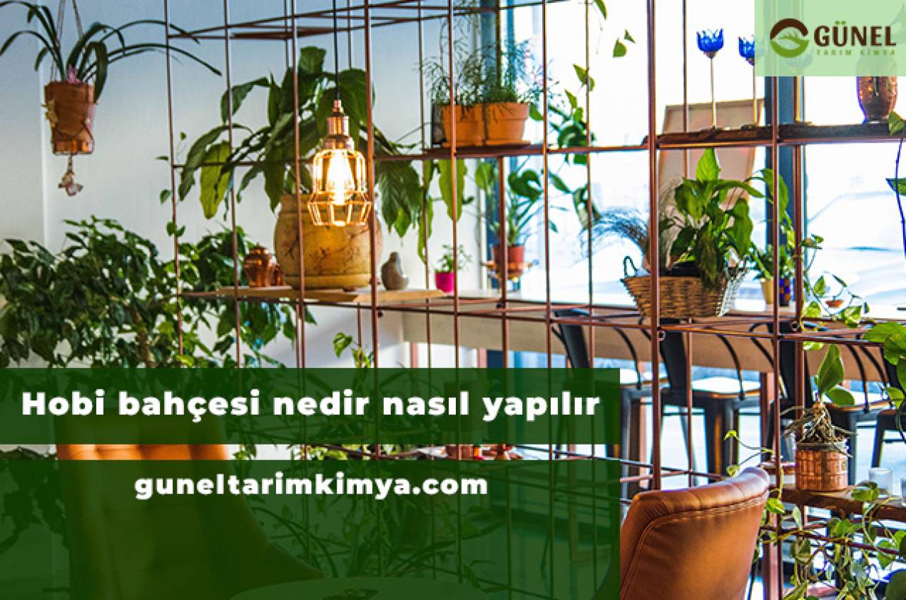 Hobi bahçesi nedir nasıl yapılır