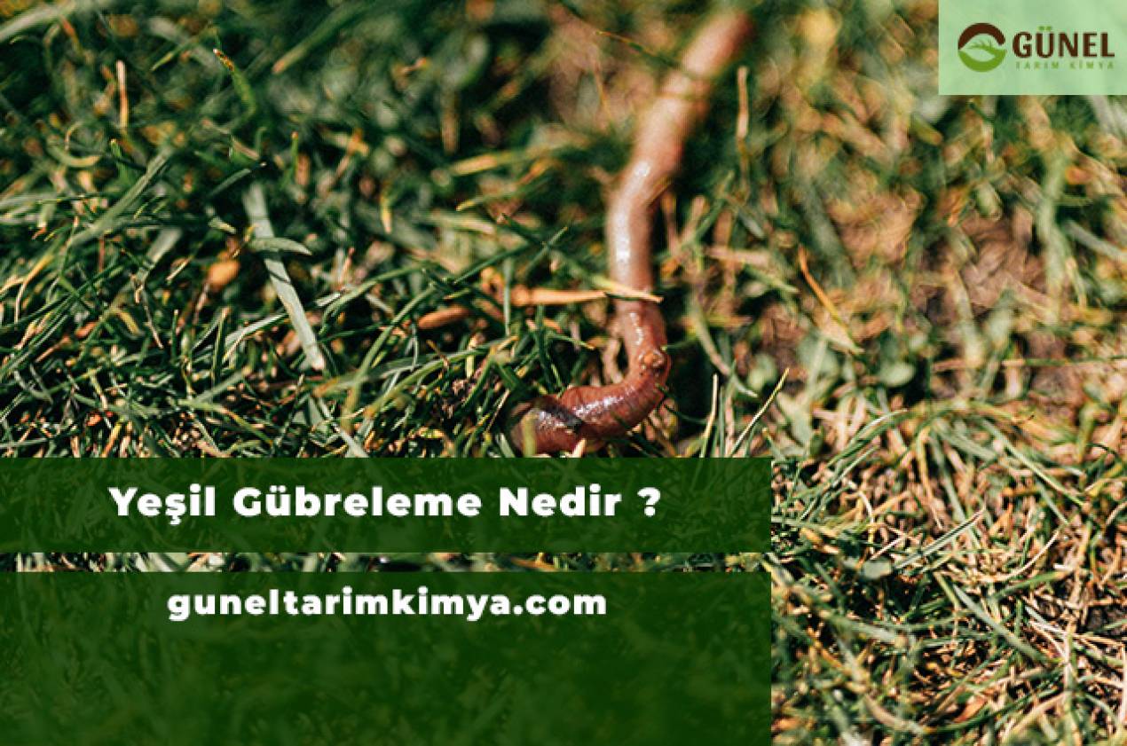 Yeşil Gübreleme Nedir ?