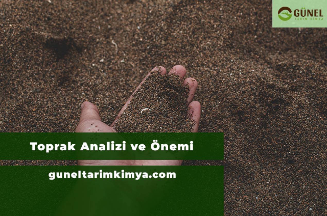Toprak Analizi ve Önemi
